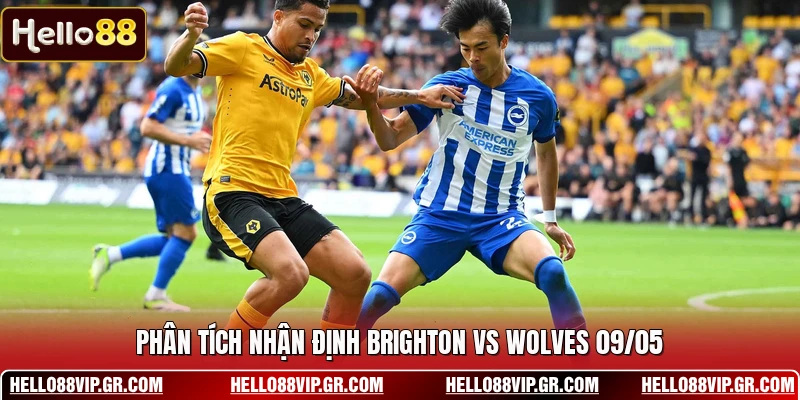 Nhận Định Brighton Vs Wolves 09/05 - Soi Kèo Ngoại Hạng Anh Phân tích nhận định Brighton vs Wolves 09/05