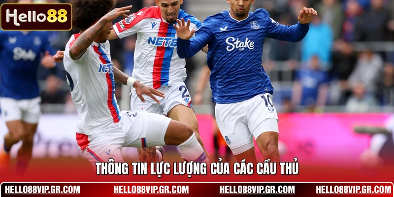Nhận Định Crystal Palace Vs Everton 10/05 - Kịch Bản Khó Thông tin lực lượng của các cầu thủ