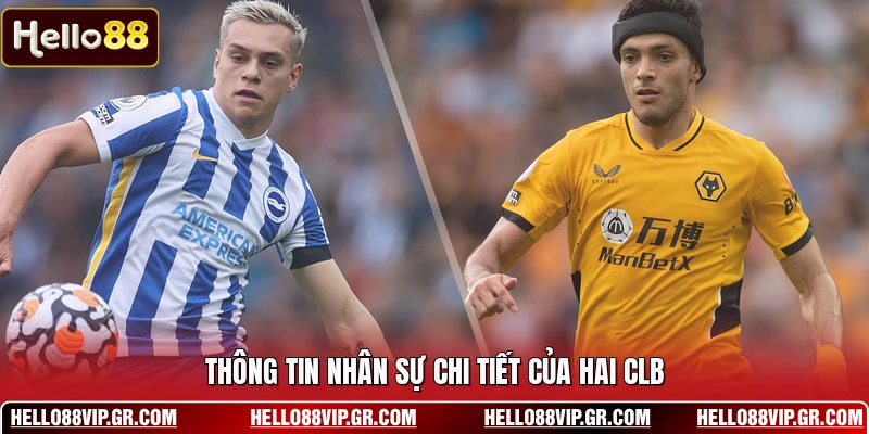 Nhận Định Brighton Vs Wolves 09/05 - Soi Kèo Ngoại Hạng Anh Thông tin nhân sự chi tiết của hai CLB